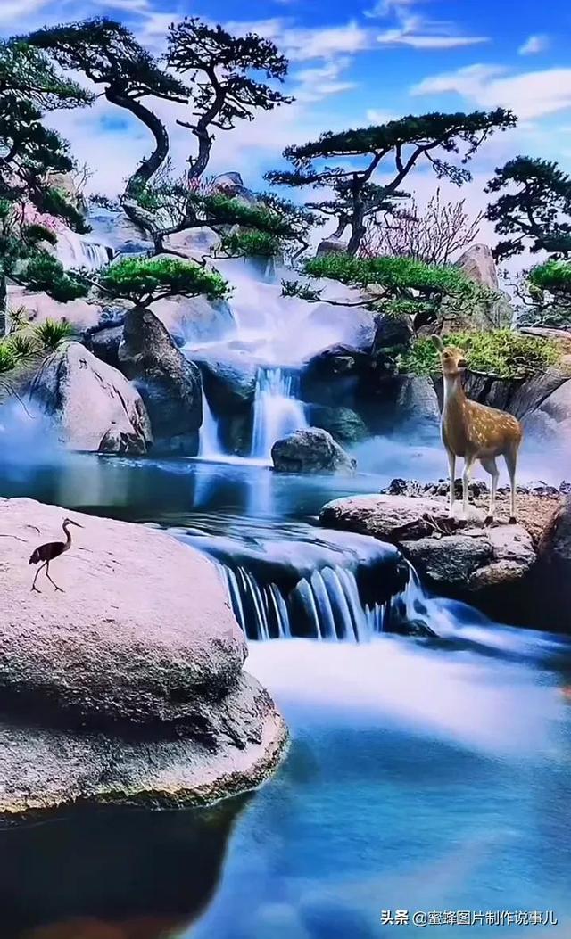哈哈体育官方入口